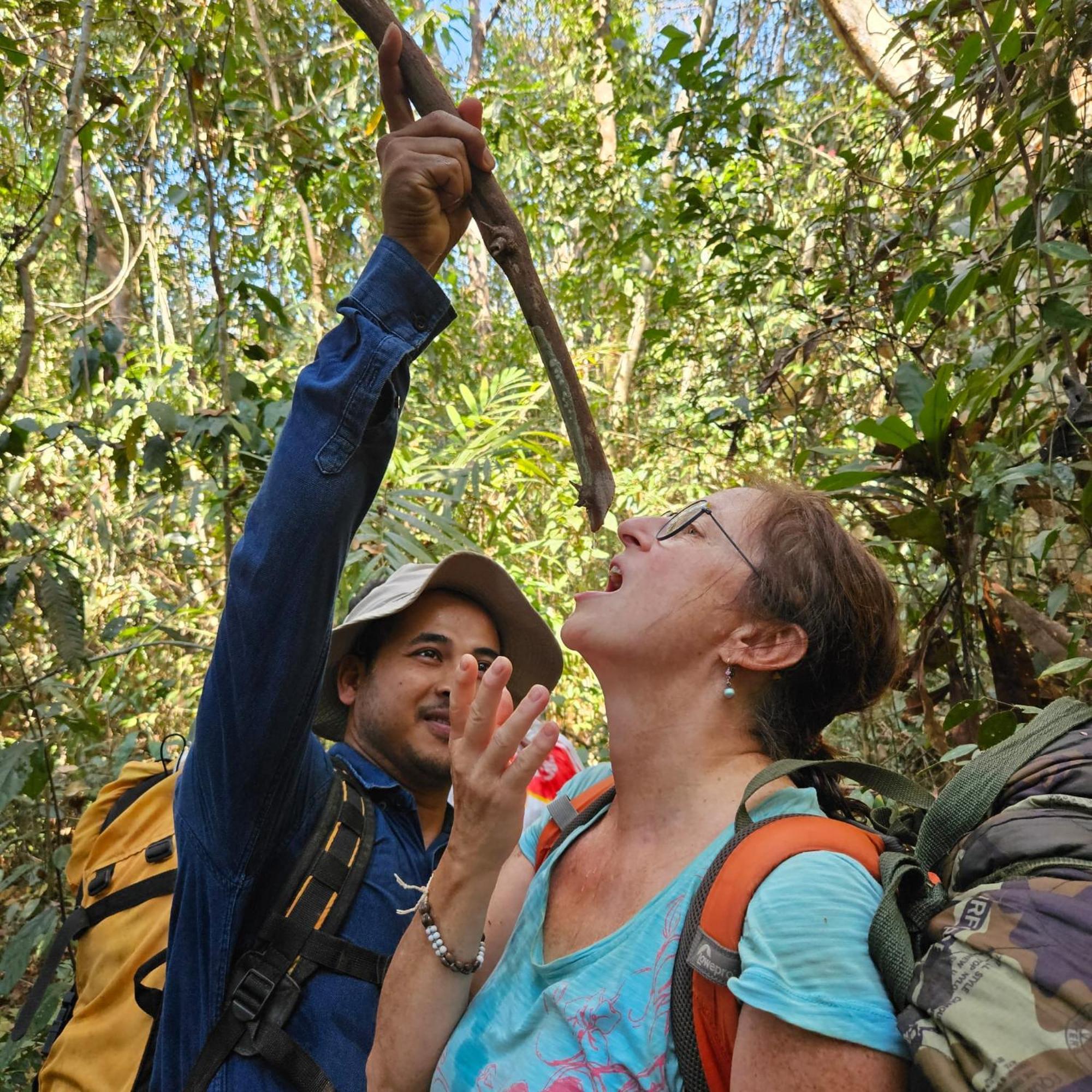 Albergue Banlung Mountain View Treks & Tours Exterior foto