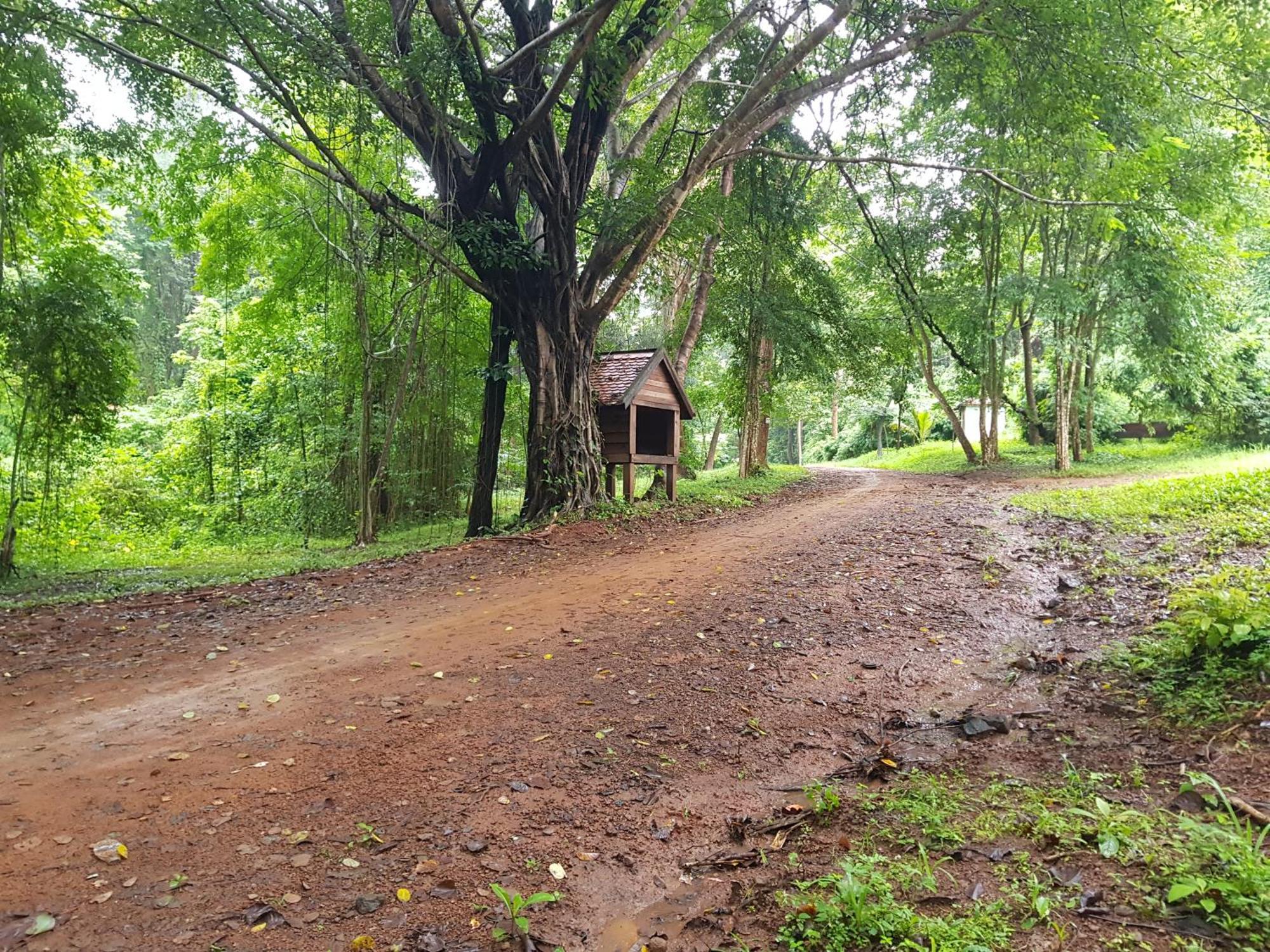 Albergue Banlung Mountain View Treks & Tours Exterior foto